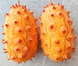 特色水果火参果火星果 - 独特口感与丰富营养的**享受