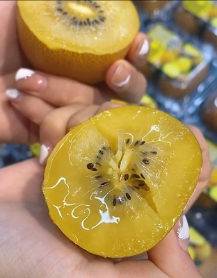 金果猕猴桃黄心猕猴桃种植基地